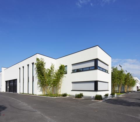 sportkamp