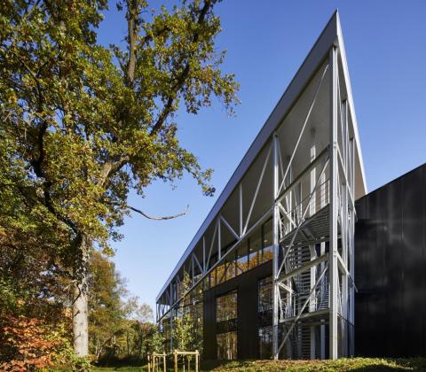 Limtec Diepenbeek Mathieu Gijbels