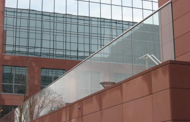 Ernst & young