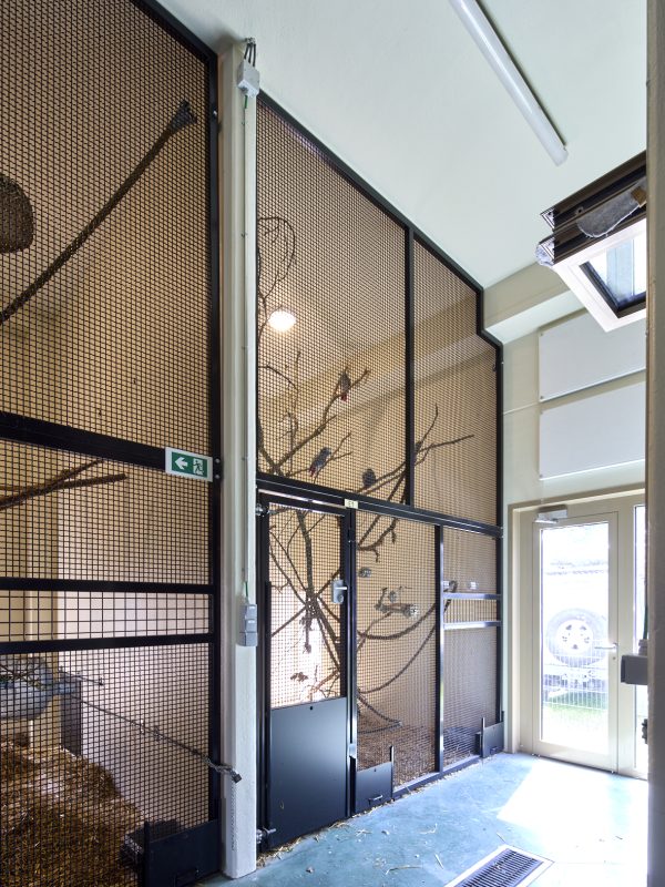 natuurhulpcentrum - oudsbergen - nieuwbouw - kooi - dier