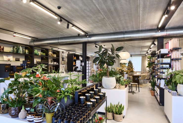 Paliflora Paal Nieuwbouw Bloemist Mathieu Gijbels